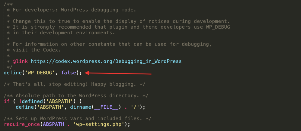 wp-debug true